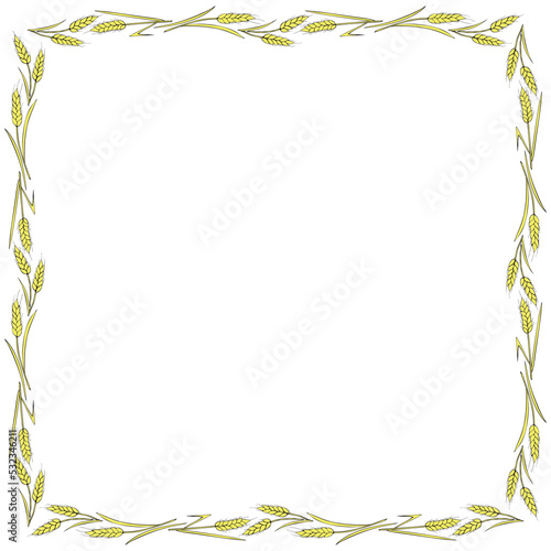 Square frame made of golden wheat or rye ears. Vector autumn border, backdrop hand drawn in Doodle flat style, isolated on white background