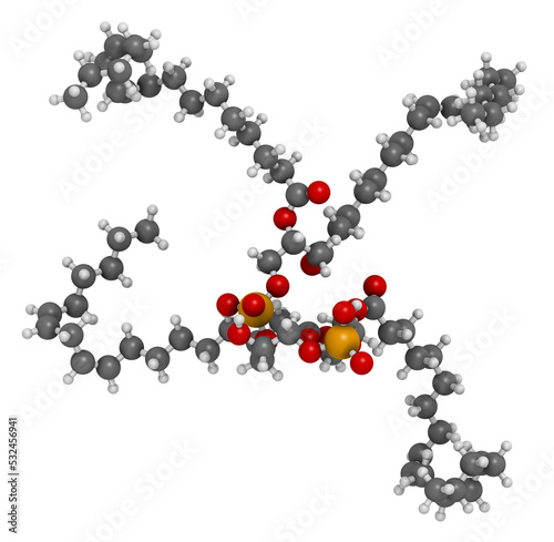 Cardiolipin (tetralinoleoyl cardiolipin) molecule. Important component of the inner membrane of mitochondria, 3D rendering.