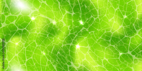 Abstract green wallpaper or plant cells texture under a microscope seamless pattern. Leaf tissue layer vector macro illustration. Microbiology background. Scientific structure.