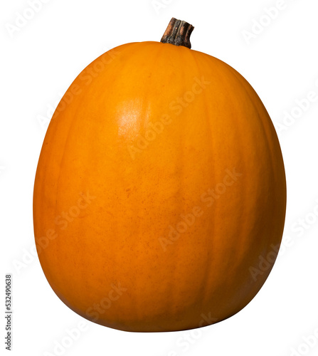 Orange Halloween pumpkin isolated on transparent background