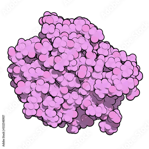 KRAS (Kirsten rat sarcoma viral oncogene homolog, fragment) protein. 3D rendering based on protein data bank entry 4obe.