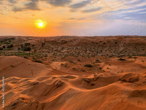 sunset in the desert on the outskirts of the city of Dubai, dunes with little vegetation