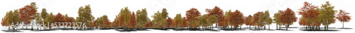 colorful autumn treeline xxl