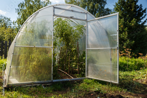 greenhouse in the garden. polycarbonate greenhouses in the garden. Open door to the greenhouse.