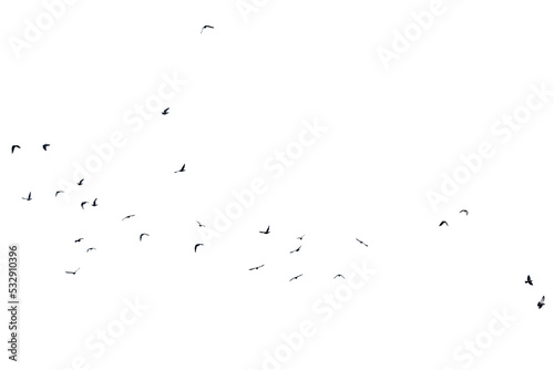 A group of doves flying in the sky, in png transparent