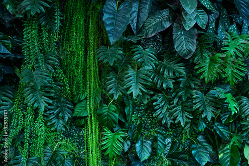 Full Frame of Green Leaves Pattern Background, Nature Lush Foliage Leaf Texture, tropical leaf