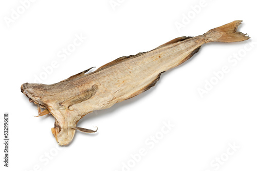 Single stockfish, Atlantic cod, close up isolated on white background 