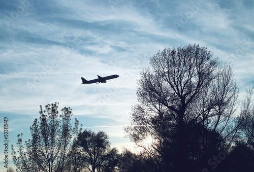 Silueta de un avión sobre la silueta de los árboles al atardecer. Silueta de un avión de pasajeros despegando desde el aeropuerto Adolfo Suarez Madrid Barajas en España con los últimos rayos de sol.
