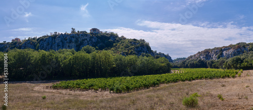Widok na prowansalskie winnice, panorama. Zielone winorośla ukryte w zacisznej dolinie wśród wzgórz.