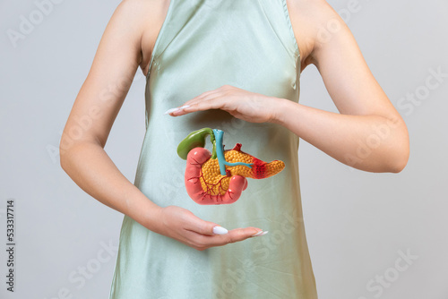 woman holding pancreas in the hands. Help and care concept