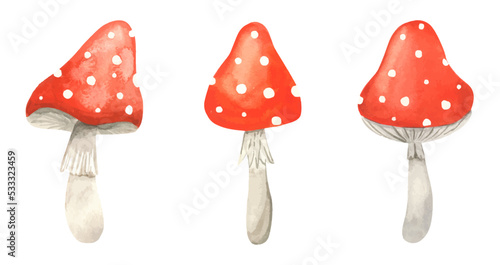 Set watercolor Fly agaric mushroom. Hand drawn poison fungi amanita muscaria. Red big fly agaric with white speckled. A poisonous dangerous mushroom for making potions
