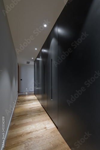 Interior of a long grey apartment corridor with closet