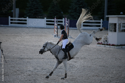 A gray horse in a show jumping competition kicks and bucking. Sports horse and rider at the tournament.