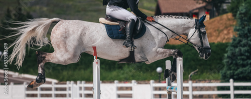 A rider on a white horse jumps over the obstacle in a show jumping competition. Equestrian Sport. Show Jumping themed photo.