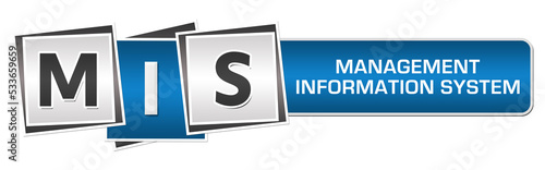 MIS - Management Information System Blue Grey Squares Bar 