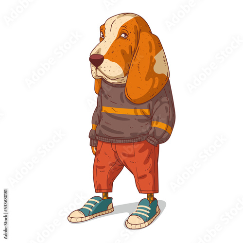 An Urban Dog, isolated vector illustration. A dog character in a modern casual outfit standing with his hand in his pocket. A basset hound with a human body on white background. Drawn animal sticker.