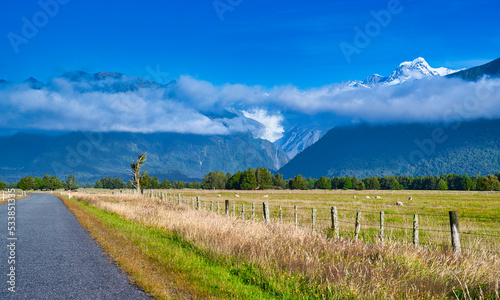 Fox Glacier, Mt. Tasman and Aoraki/Mt. Cook, West Coast, New Zealand