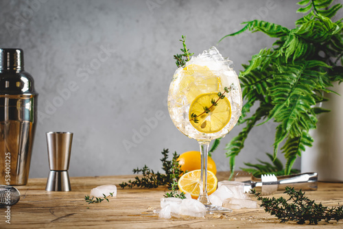 Gin tonic lemon cocktail drink with dry gin, bitter tonic, juice, thyme and ice, bar tools. Wooden table background with copy space