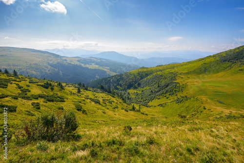 rolling hills and grassy meadows of carpathian. chornohora mountain ridge in the distance on a summer day with clouds on the sky