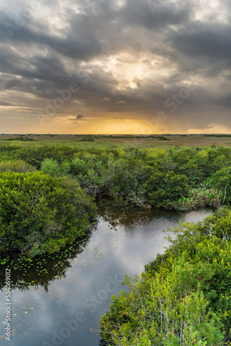 Looking out towards a distant rainstorm over the "river of grass" at Shark Valley in the Everglades National Park.