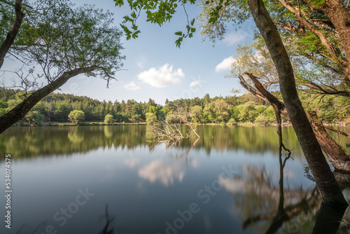 Long exposure photography, woods on water with reflection and clouds blue sky with white clouds as a background