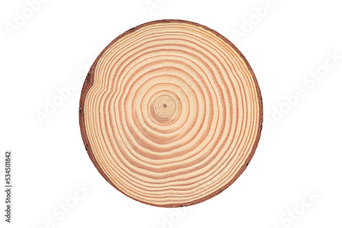 Wooden texture, Cross section of larch tree trunk showing growth rings isolated on white background, tree rings, for montage product display or design key visual layout. with clipping path