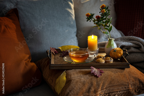 Cozy tea time in autumn served on a tray with candle, flowers and fall decoration on the couch with pillows in warm dark colors, copy space, selected focus