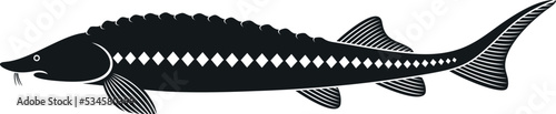 Sturgeon logo. Isolated sturgeon on white background