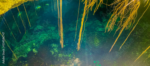 Blue turquoise water limestone cave sinkhole cenote Tajma ha Mexico.