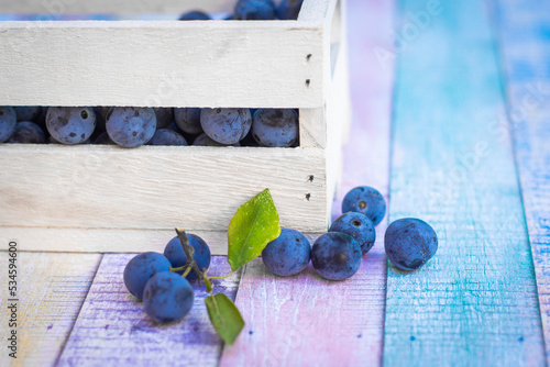 Autumn harvest blue sloe berries in wooden chest detail