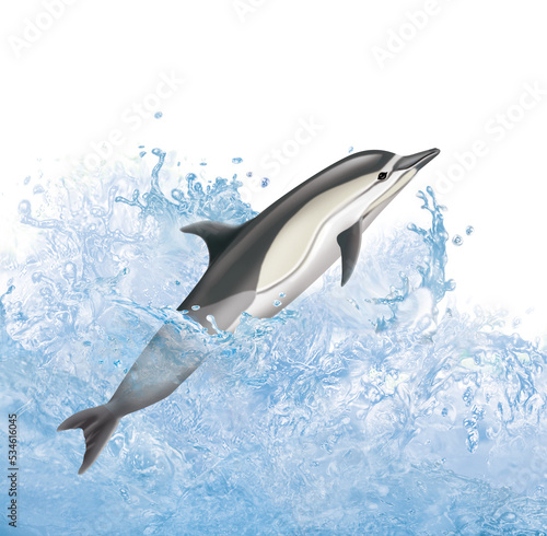 Dauphin de Fraser, saut, vague, mammifère, marin, poisson, bleu, mer, eau, océan, nager, ailette, aquatique, sous-marin, sauvage, vie, grand dauphin