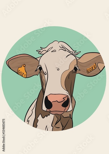 Illustration d’un portrait de vache de race abondance blanche et marron. Ce dessin est isolé dans un rond vert d’eau. La tête de la vache est en gros plan et nous regarde