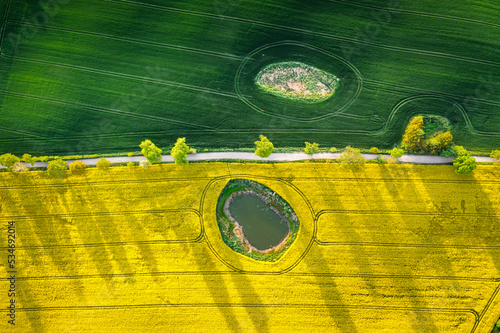 Top down view of wheat and rape fields in countryside.