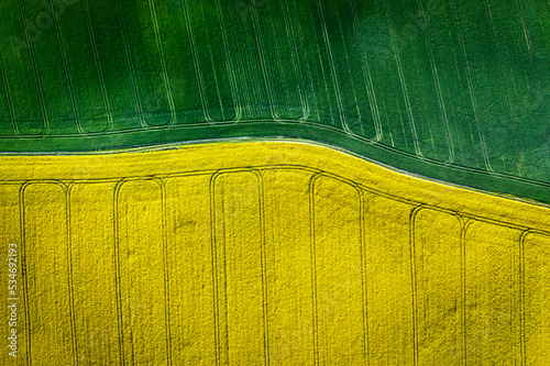 Top down view of green and yellow field in countryside.