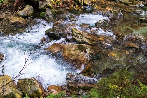 A small river in the Polish mountains with many brown stones and green moss
