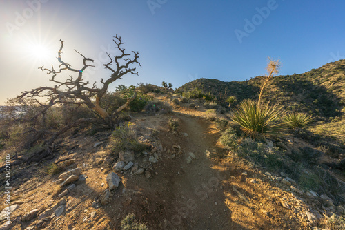 hiking the high view nature trail in black rock canyon, joshua tree national park, usa