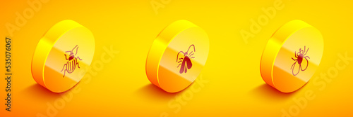 Set Isometric Chafer beetle, Clothes moth and Insect fly icon. Vector
