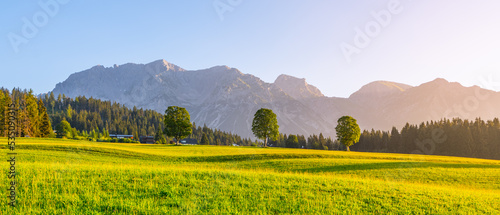 Panoramic view of Dachstein Mountain Group from Ramsau