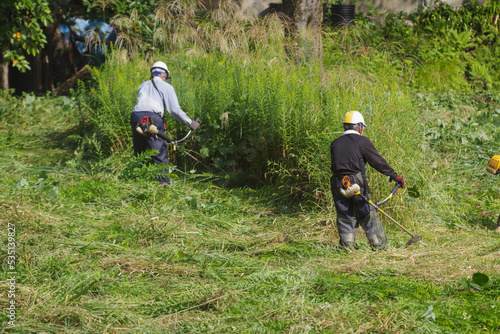 休耕田の雑草の草刈りをする男性たち