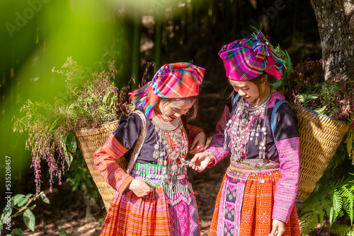 People H'mong ethnic minority with colorful costume dress walking in bamboo forest in Mu Cang Chai, Yen Bai province, Vietnam. Vietnamese bamboo woods. High trees in the forest