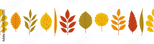 Autumn leaves background, banner template. Fall foliage of alder, aspen, willow, ash, elm in bright colors. Seamless ornament on white background. Vector illustration for websites, print, etc.