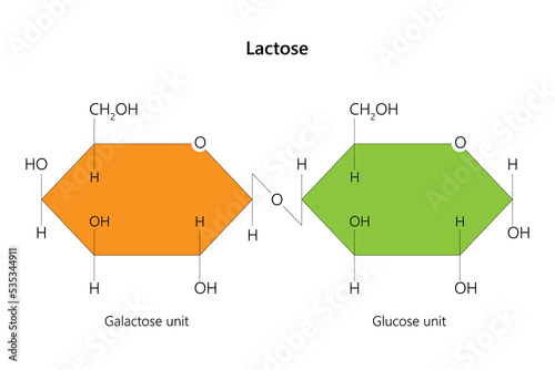 Lactose is a disaccharide sugar. Vector illustration.