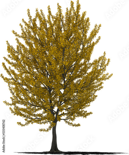 ginko tree autumn 3 arch viz
