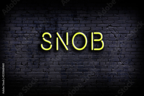 Neon sign. Word snob against brick wall. Night view