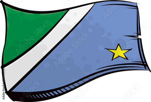 Painted Mato Grosso do Sul flag waving in wind