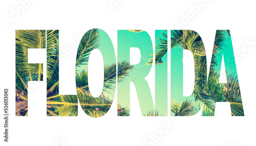 Word Florida wrritten with a tropical sky with palm trees isolated on transparent background