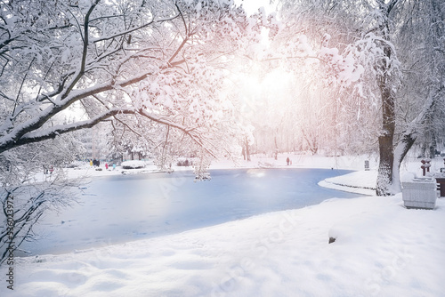 Beautiful natural landscape of a snowy city park with snow-covered trees and frozen pond on bright winter day.