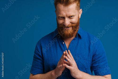 Portrait of adult handsome stylish redhead bearded insidious man