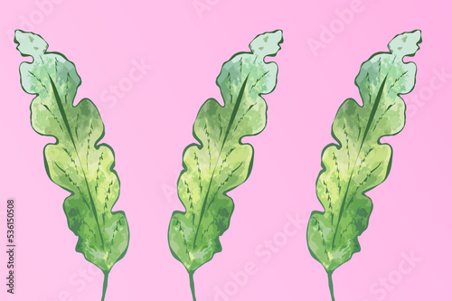 Ilustracja motyw roślinny zielone liście różowe tło .