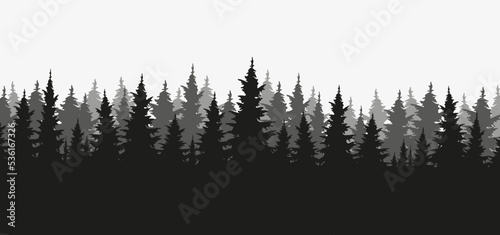 Vector silhouette of Treeline Spruce And Pines 